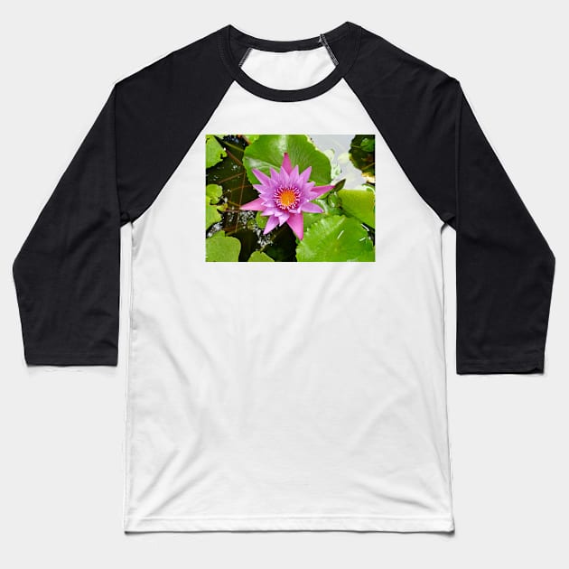 Honolulu Water Lily Baseball T-Shirt by bobmeyers